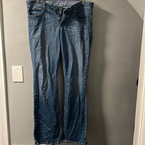 Gap Jeans (curvy)